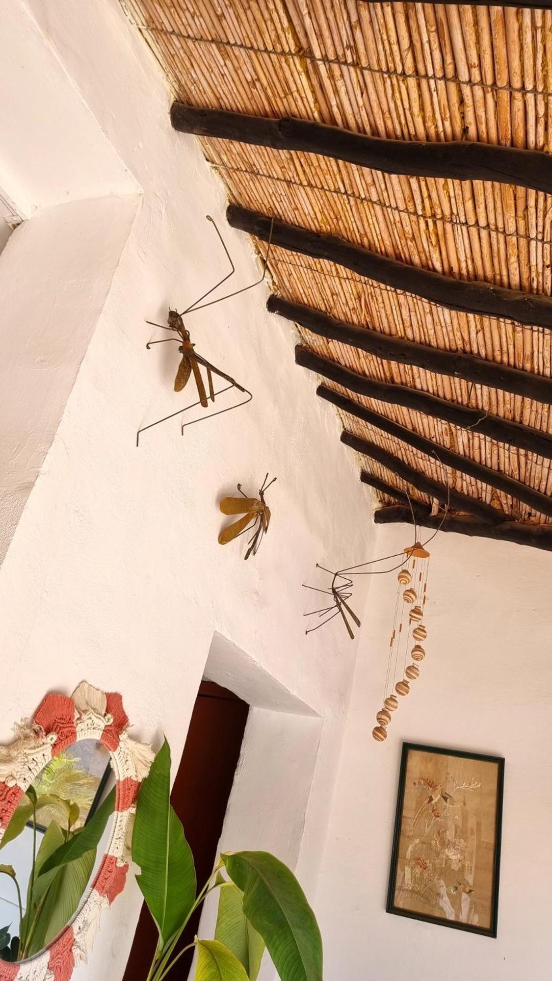 La Casona Espacio Bonito Zapatoca Exteriér fotografie